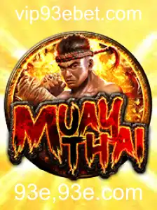 MuayThai: Guia Completo e Novidades